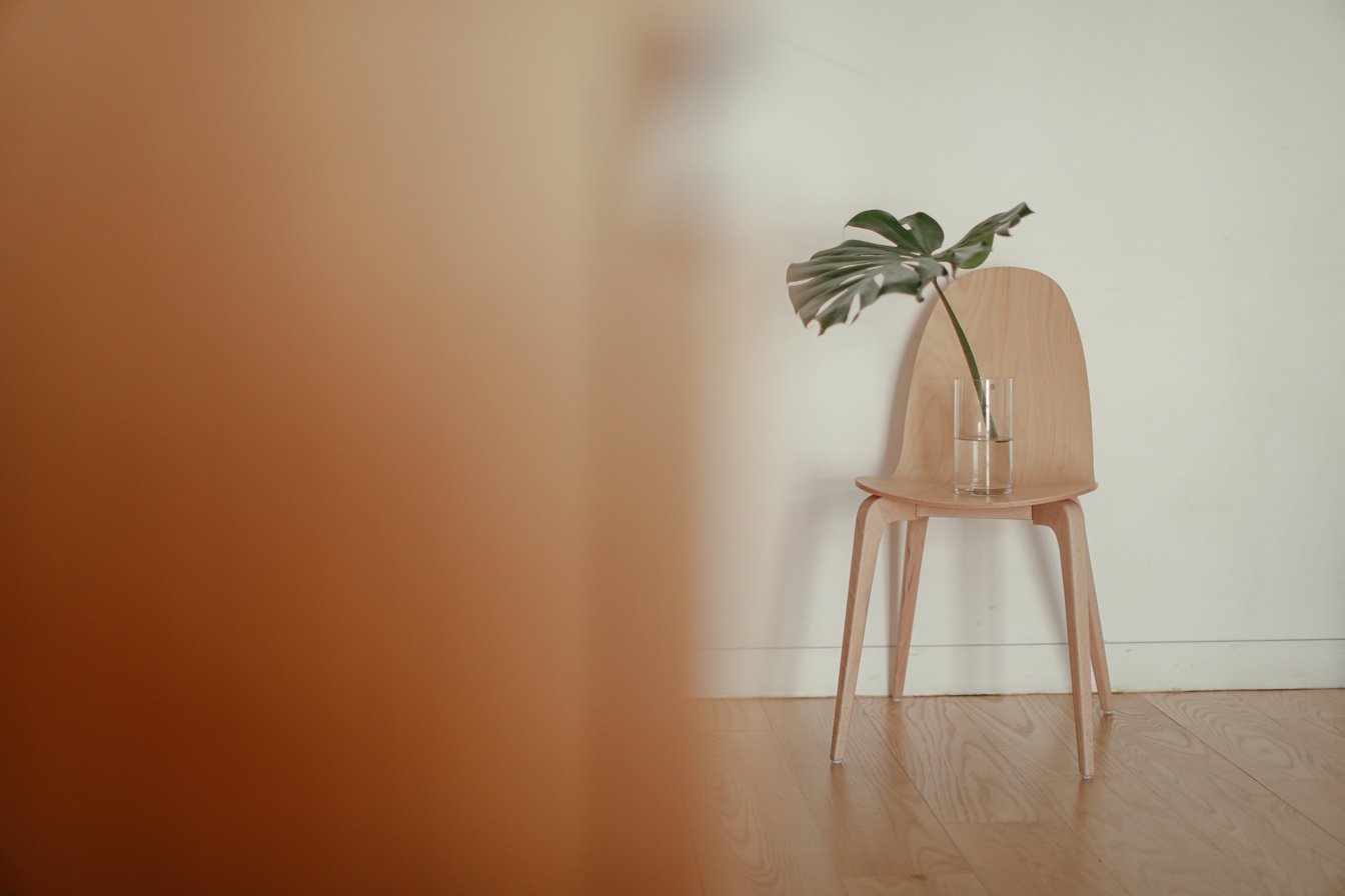 A Glass Vase with Green Plant on a Wooden Chair